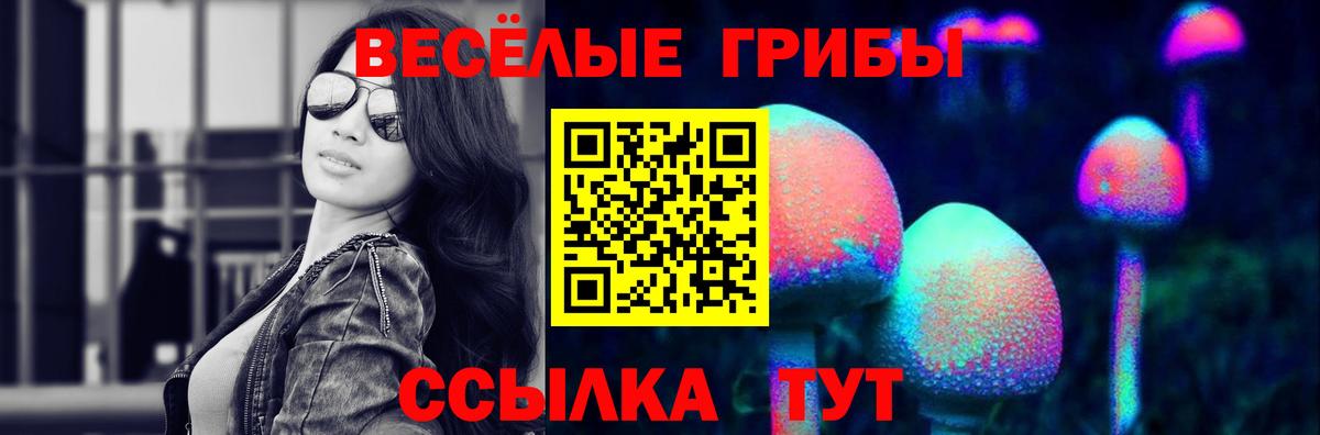 Галлюциногенные грибы мухоморы  Галлюциногенные грибы Cubensis  Вход с VPN  Александров 